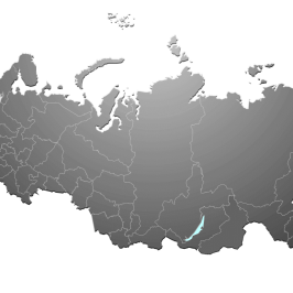Российская кадастровая карта: информация по требуемому участку