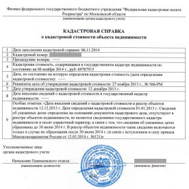 Форма кадастровой выписки: правила заполнения
